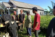 Warga Kecamatan Tutur menjadi tenang setelah Satreskrim Polres Pasuruan Berhasil Tangkap Pencuri Hewan Ternak