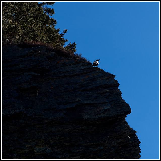 Gaff Point; Nova Scotia