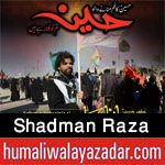 shiahd.blogspot.com/2017/09/shadman-raza-nohay-2005-to-2018.html