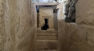 600 قط وكلب "بقوارير" في أقدم مقبرة مصرية للحيوانات الأليفة في العالم