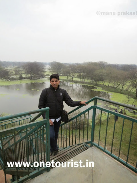 keoladeo national park , Bharatpur , Rajasthan 