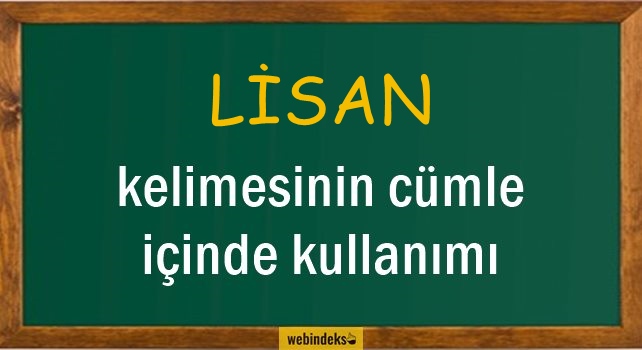 Lisan İle İlgili Cümleler, Lisan Kısa Cümle İçinde Kullanımı