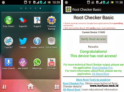 root sukses