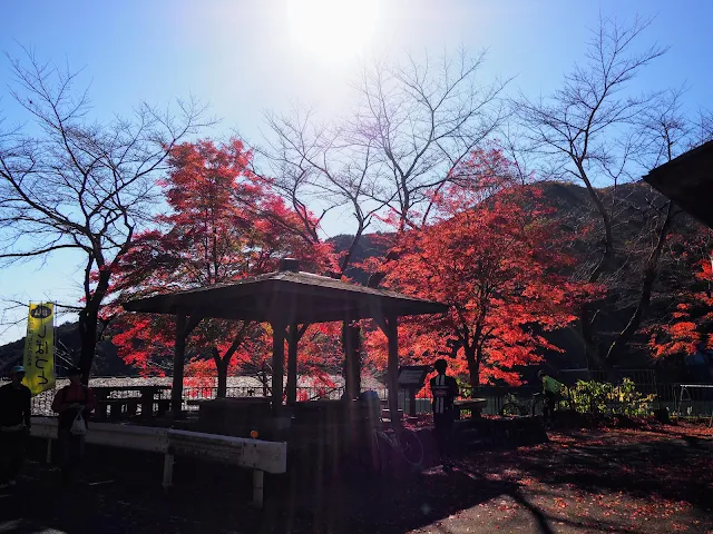 有間ダム　名栗湖