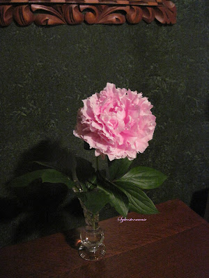 peony