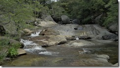 DSC01480