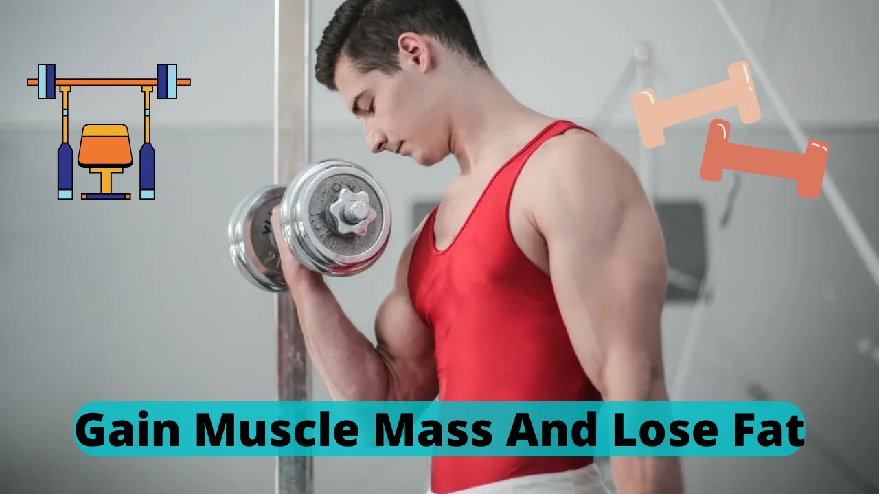 How To Gain Muscle Mass And Lose Fat