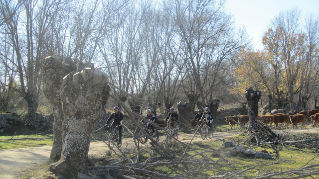 Galapagar, Valmayor, Zarzalejo, El Escorial