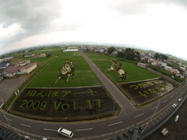 Japanese Rice Field Creative Art Work - AmAzing Photos Seen On www.coolpicturegallery.us