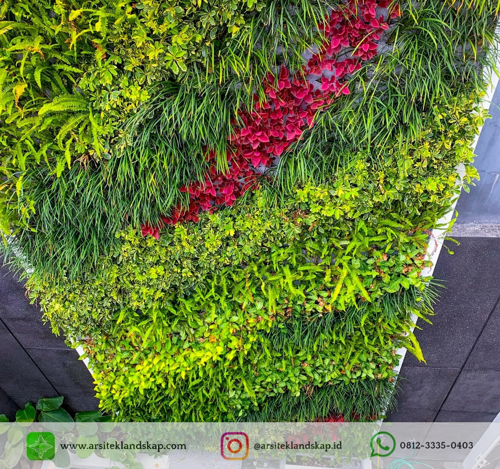 jasa vertical garden jasa pembuatan vertical garden