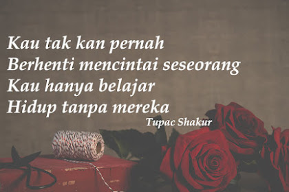 Kumpulan Kata Kata Cinta Bijak, Romantis, Sedih, Lucu  Komplit Dengan Berbagai Nuansa