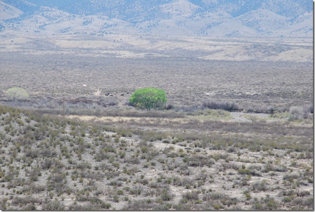 04-12-13 A Three Rivers Petroglyph Site 038