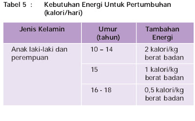 Image result for kebutuhan energi pertumbuhan