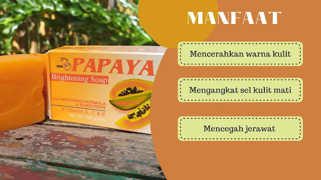 manfaat sabun papaya RDL