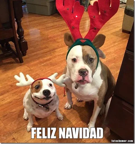 perros-Feliz-Navidad