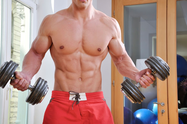 muscle building tips