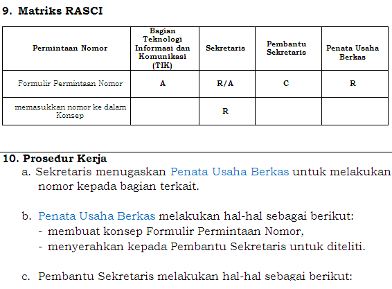 RASCI responsibility charts matriks