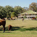 General Farm Hand Job in Clifton Queensland.