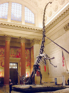 Esqueleto Barosaurus