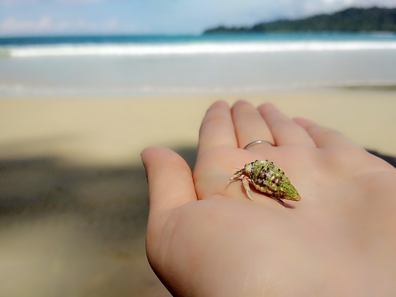 Pantai Undi Beach Manokwari ABAH KEOM