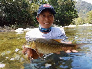  Ikan masheer atau kerling merupakan ikan asli perairan Banda Aceh Begini Uniknya mancing ikan masheer