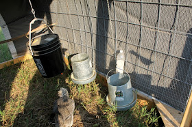 Metal feeders and homemade oyster shell dispenser