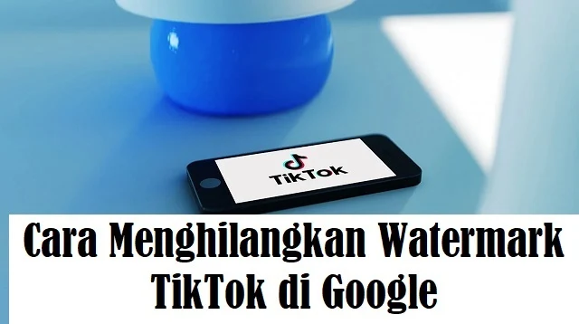 Cara Menghilangkan Watermark TikTok di Google