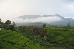 Daftar Gunung Berapi Yang Aktif Di Indonesia