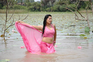 roopika wet