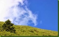 IMG_0019