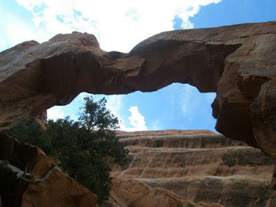 Large natural bridges and arches are puzzling to secular geologists since they cannot adequately explain them.