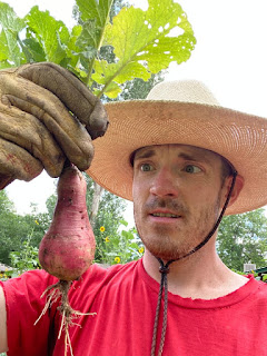 Giant Radish