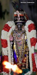 Parthasarathy Perumal, Maasi Sravanam, Thiruvonam Purappadu,  Trplicane,  Purappadu, Thiruvallikeni, Utsavam, 