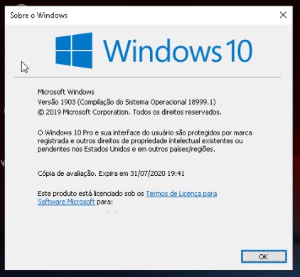 windows10-v1903