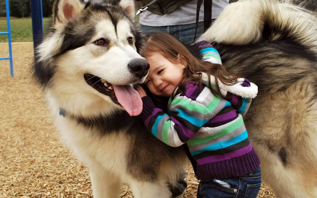 30 funny pictures of cute kids hanging out with animals, kids and animals