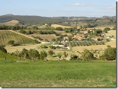 Montepulciano, Italy vineyards