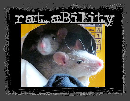 Rat.aBility