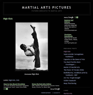 martial arts pictures