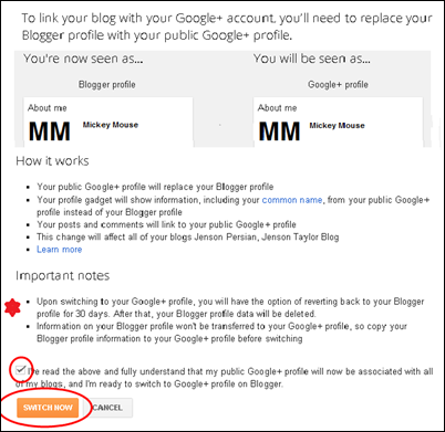 Blogger- Connect to Google 