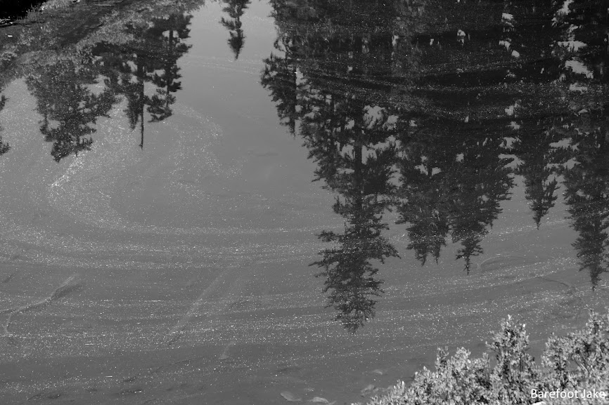 seasonal tarn o'neal ridge