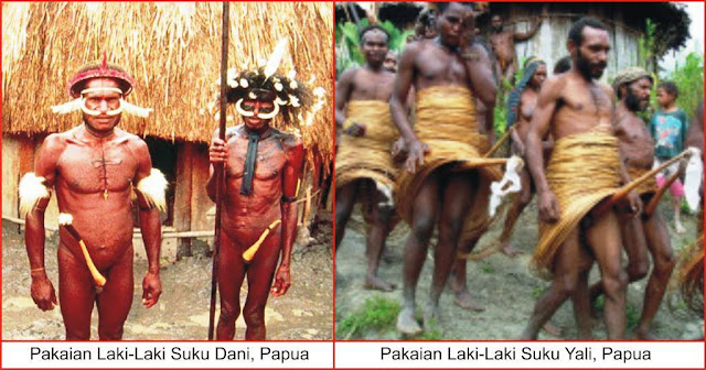 Pakaian Adat Papua  Lengkap Gambar  dan Penjelasanya