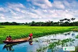 Village Bengal Natural Scenery Pictures - Natural Scenery Pictures Download - Beautiful Natural Scenery Pictures - Natural Picture - NeotericIT.com - Image no 12