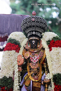 Kodai UTsavam,Thiruvallikeni, Sri PArthasarathy Perumal, Temple, 2017, Video, Divya Prabhandam,Utsavam,