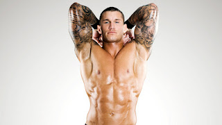 Raw And Smackdown 2014: Randy Orton HD Wallpapers