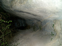 Balma en el corriol de la Font de l'Abeurada