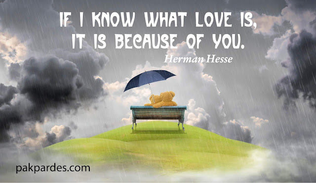 If I know what love is, it is because of you,love,quotes,love quotes,best love quotes,inspirational quotes,love quotes for him,love quotes and sayings,romantic quotes,movie love quotes,what is love,love (quotation subject),famous quotes,love quotes for someone special,best quotes about love,quotes for love,i love you quotes,inspirational love quotes,short love quotes,love pain quotes,beautiful love quotes,tagalog love quotes