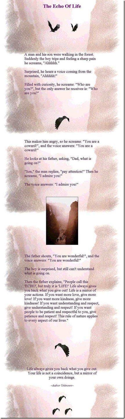 The Echo of Life