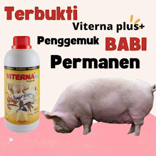 vitamin babi cepat besar