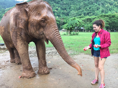 María en el centro de elefantes de Tailandia