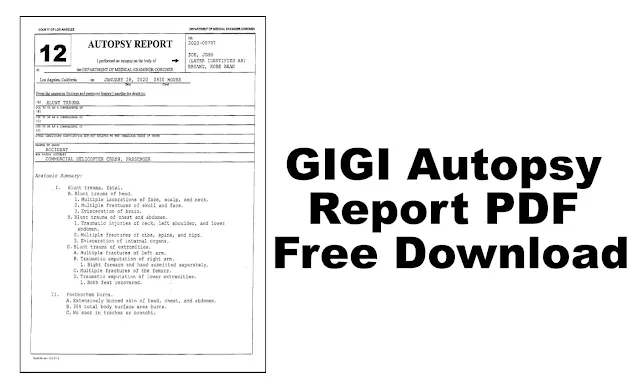 GIGI Autopsy Report PDF Free Download